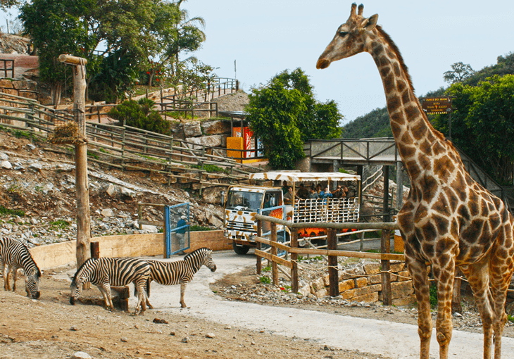 Selwo Aventura_zoo_jizni_spanelsko